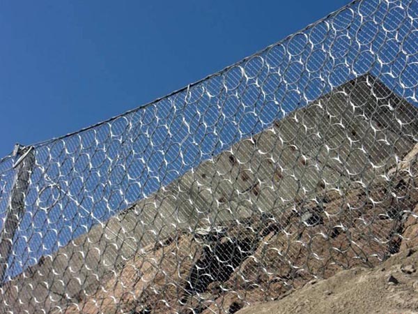 RXI-100�ͱ��ӷ��o�W